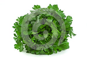 Parsley herb bunch