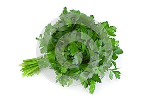Parsley herb bunch