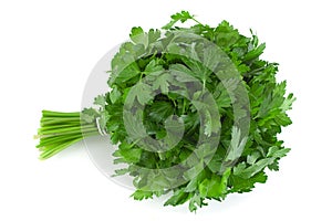 Parsley herb bunch