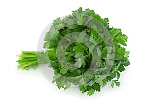Parsley herb bunch