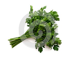 Parsley herb bunch isolated on white background