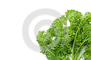 Parsley isolated on white background