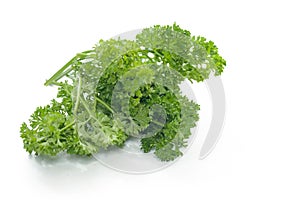 Parsley isolated on white background