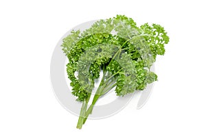 Parsley isolated on white background