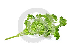 Parsley isolated on white background