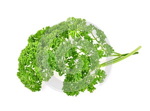 Parsley isolated on white background