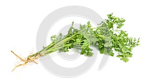 Parsley isolated on white background