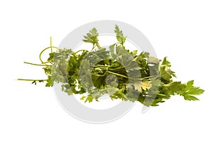 parsley isolated on white background