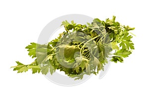 parsley isolated on white background