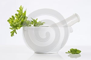 Parsley in mortar