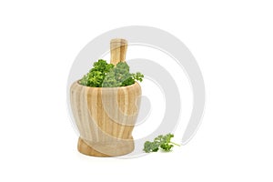 Parsley Mortar and Pestle