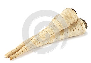 Parsley root