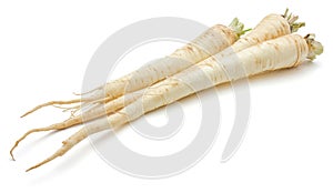 Parsley root isolated