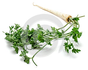 Parsley root isolated