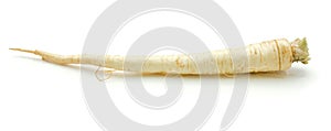 Parsley root isolated