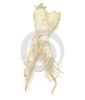 Parsley root isolated