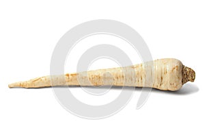 Parsley root on white