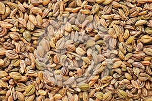 Parsley seeds close up. Natural warm toned texture