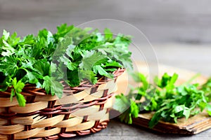 Parsley sprigs in a wicker basket and a wooden board. Garden parsley plant cultivated as a herb, a spice and a vegetable
