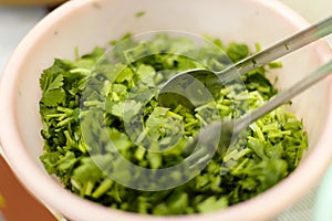 Parsley and stainless steel food clip