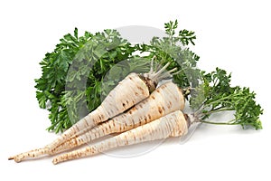 Parsley vegetable root on white