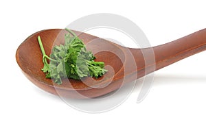 Parsley in wooden spoon