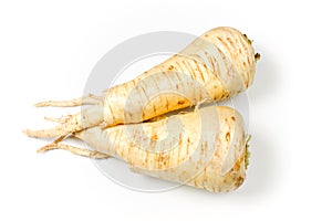 Parsnip