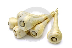 Parsnip