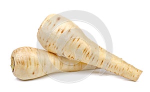 Parsnip isolated on the white background