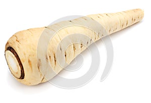 Parsnip isolated on the white background close up