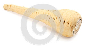Parsnip isolated on the white background close up