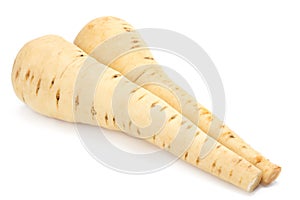 Parsnip isolated on the white background close up
