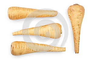 Parsnip root isolated on white background closeup. Top view. Flat lay. Set or collection