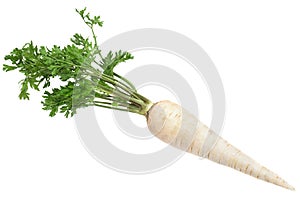 Parsnip root with leaf