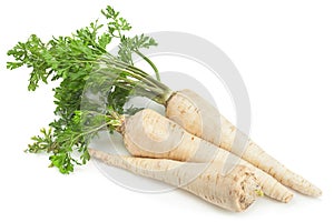 Parsnip root with leaf