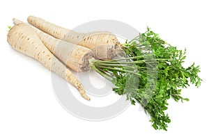 Parsnip root with leaf