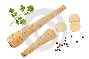 Parsnip root and slices with parsley peppercorns isolated on white background closeup. Top view. Flat lay