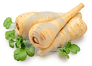 Parsnip roots with green leaf isolated on white background. File contains clipping path