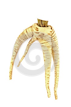 Parsnip Vegetable Twisted and Forked
