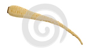 Parsnip on a white background