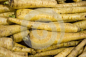 Parsnips