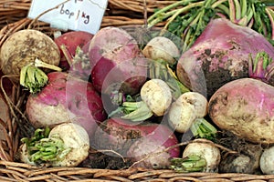 Parsnips and turnips