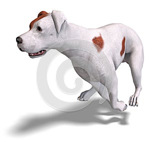 Parson Russel Terrier Dog. 3D rendering with photo