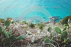 A part of the Amalfi coast with sea in Italy. Wild nature. Summer image
