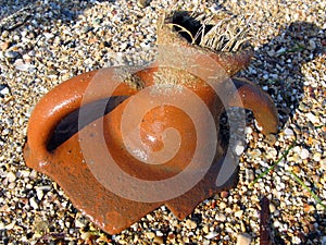 Part of an ancient amphora from the bottom of the Mediterranean Sea close-up