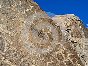 Part of ancient megalith complex, argali in center.