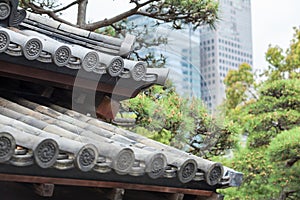 Part of ancient traditional Japanese roof against evergreen pines and contemporary buildings on background