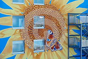 Part of an artistically painted house, skyscraper with a huge sunflower blossom and a peacock butterfly on blue house wall, mural