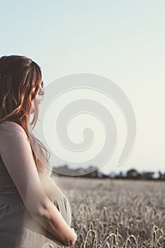 Part of body of beautiful young pregnant woman walks on wheat field at sunset, face profile of expectant mother stroking her belly