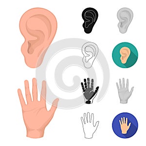 Part of the body, limb cartoon,black,flat,monochrome,outline icons in set collection for design. Human anatomy vector